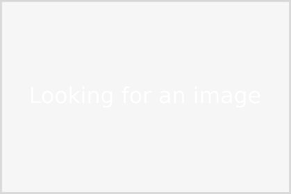 Moss path - © roTokyo