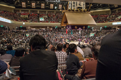 «L'arena al completo»